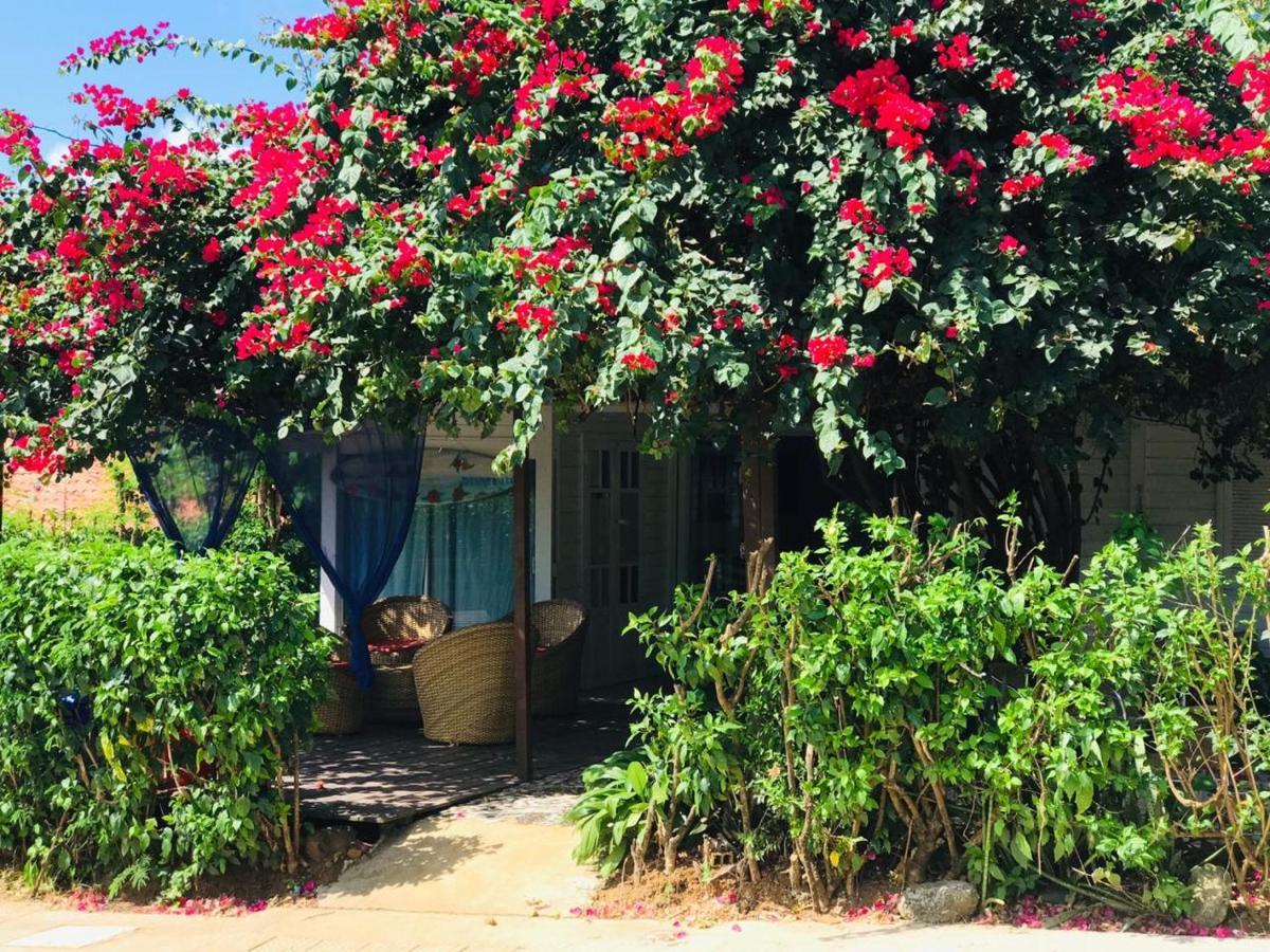 Portal Dos Golfinhos Bed & Breakfast *
